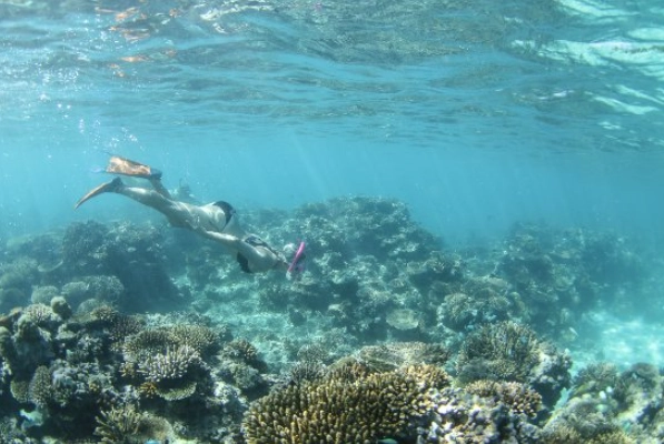 Fiji Nadi snorkeling spots Fiji Nadi snorkeling spots