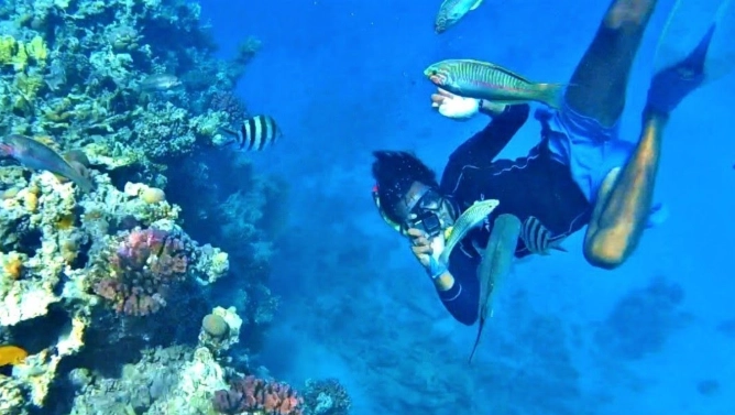 best snorkeling spots Hurghada