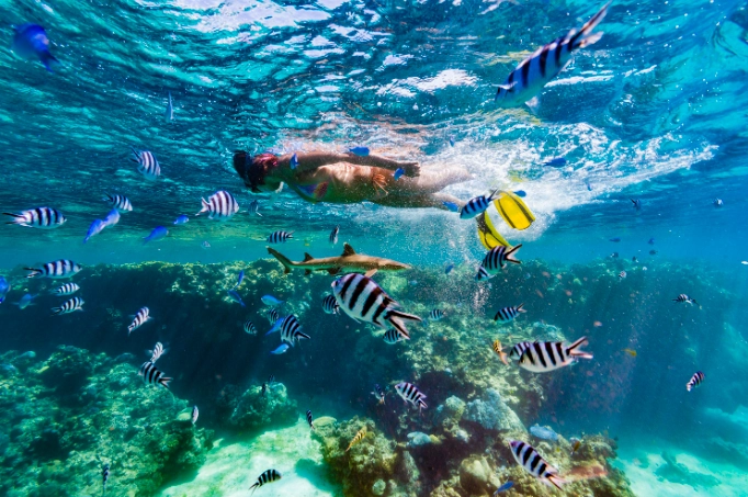 Fiji Nadi coral reefs Fiji Nadi coral reefs