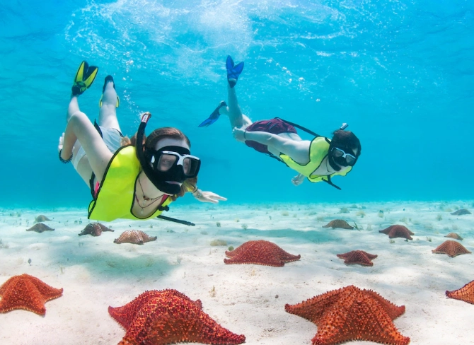 roatan snorkeling spots roatan snorkeling spots