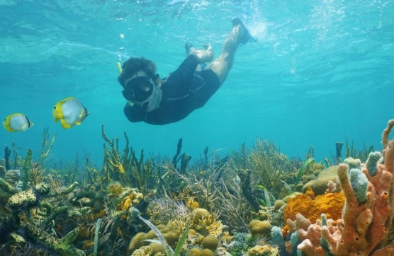 snorkeling destinations comparison