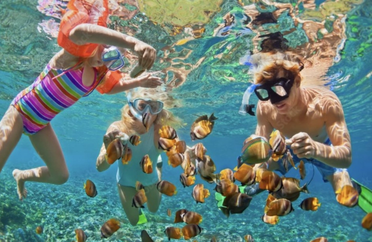 best snorkeling roatan best snorkeling roatan