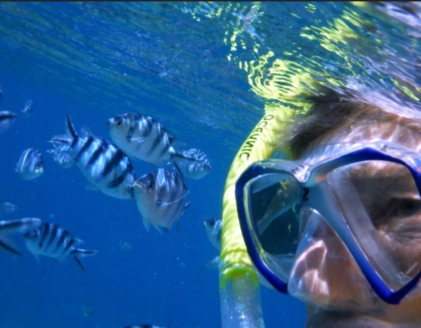 Denarau snorkeling trips