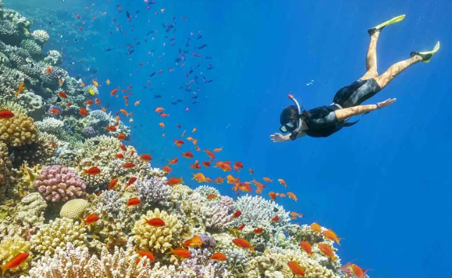 overnight boat trip Red Sea