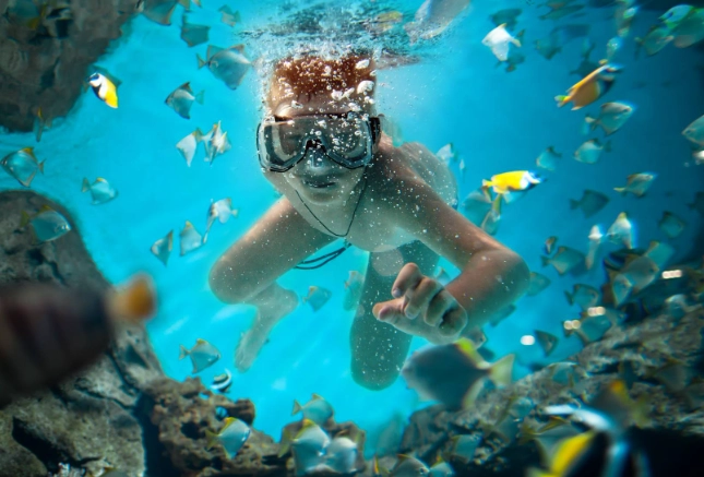 best snorkeling Guanacaste best snorkeling Guanacaste