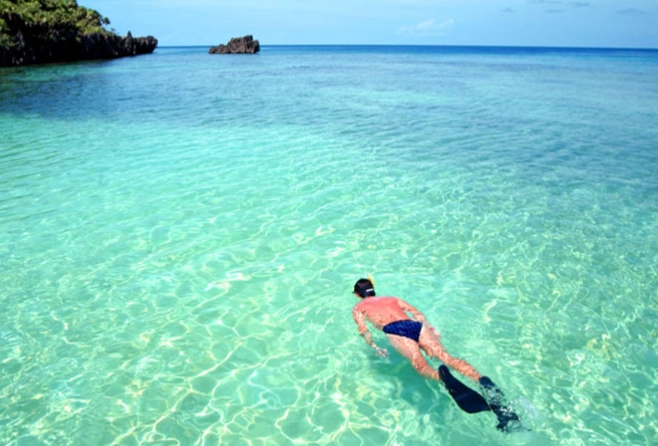 best snorkeling in roatan