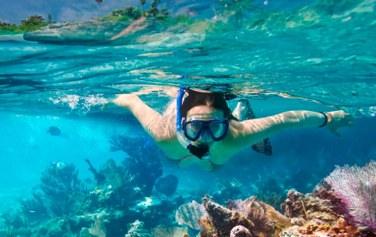 guided snorkeling tours