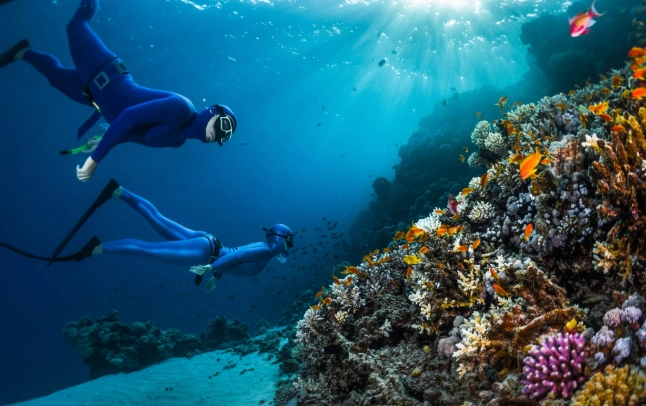 Egypt snorkeling tours