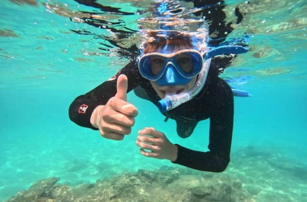 are snorkel tours worth it