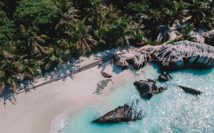 tropical snorkeling comparison