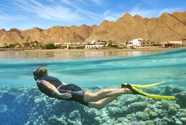 Overnight snorkeling in egypt red sea