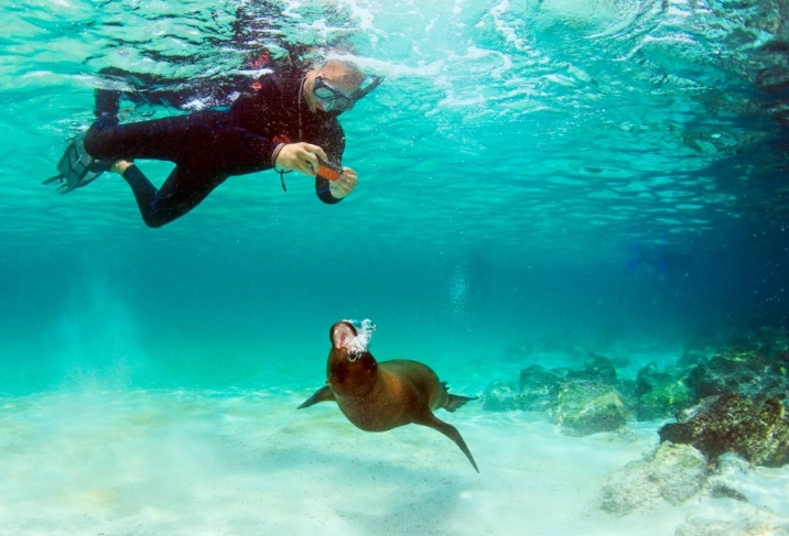 free snorkeling galapagos free snorkeling galapagos