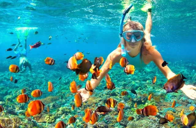 Egypt snorkeling tours