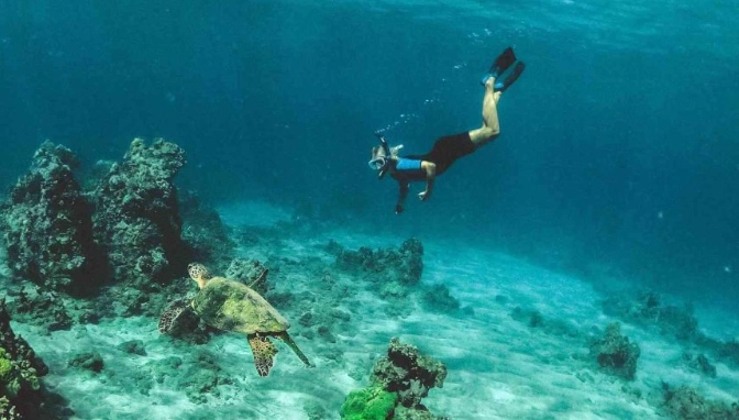 snorkeling tours roatan