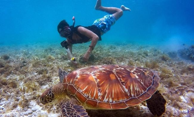 where to snorkel for free galapagos where to snorkel for free galapagos