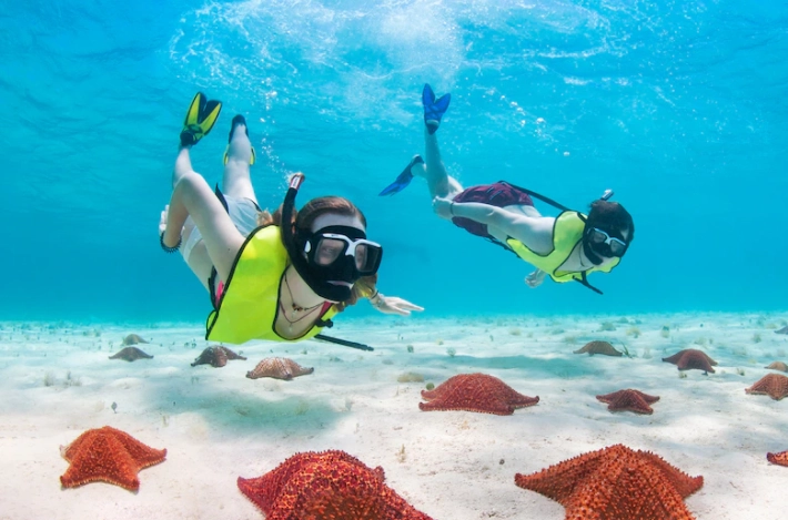 snorkeling tours roatan