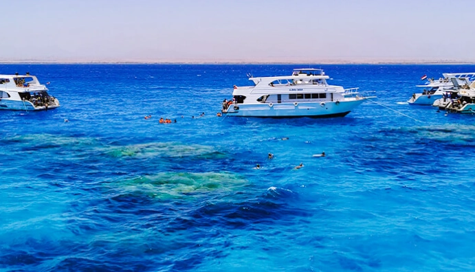 Red Sea night snorkeling