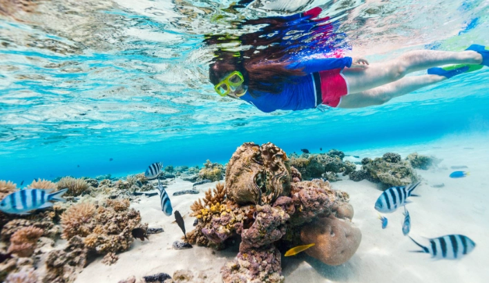 Guanacaste snorkeling spots Guanacaste snorkeling spots