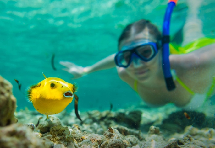 best snorkeling tours Seychelles best snorkeling tours Seychelles
