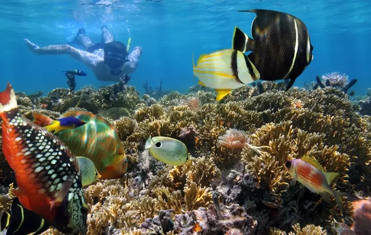 snorkeling Costa Rica snorkeling Costa Rica