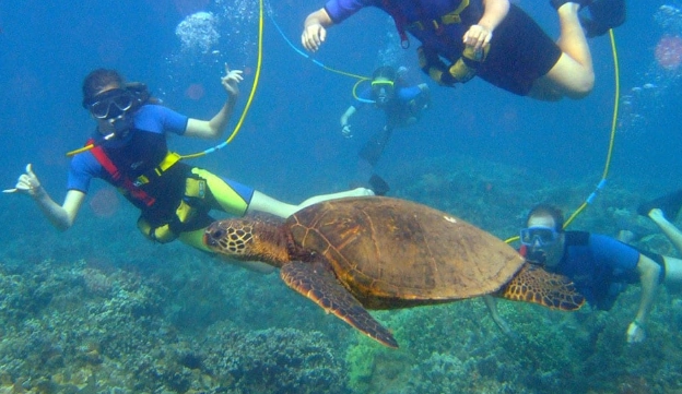 best snorkeling spots Costa Rica best snorkeling spots Costa Rica