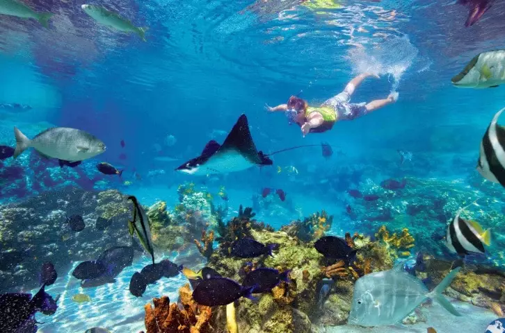 best snorkeling spots Costa Rica best snorkeling spots Costa Rica