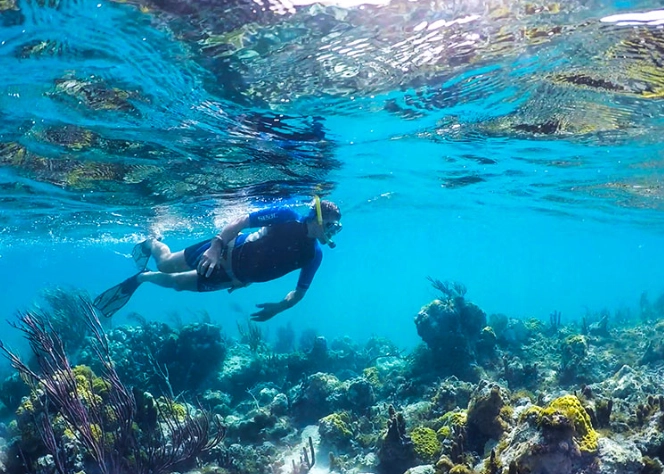 Is snorkeling in Turks and Caicos safe