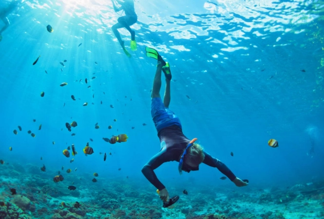 Bahamas snorkeling season Bahamas snorkeling season