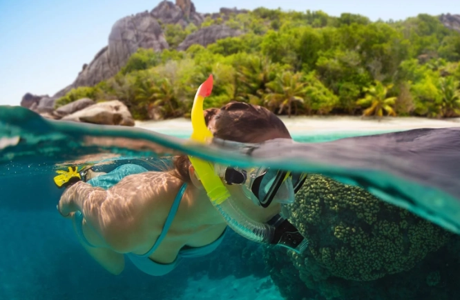 best snorkeling tours Seychelles best snorkeling tours Seychelles