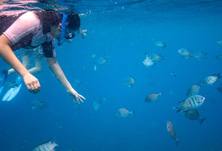 Julian Rocks snorkeling time