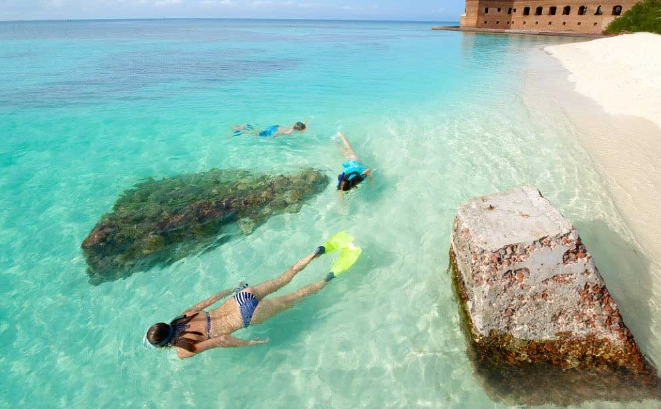 snorkeling Dry Tortugas