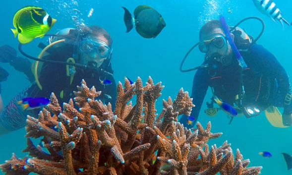 Seychelles snorkeling cost Seychelles snorkeling cost