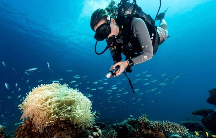 Seychelles snorkeling cost Seychelles snorkeling cost