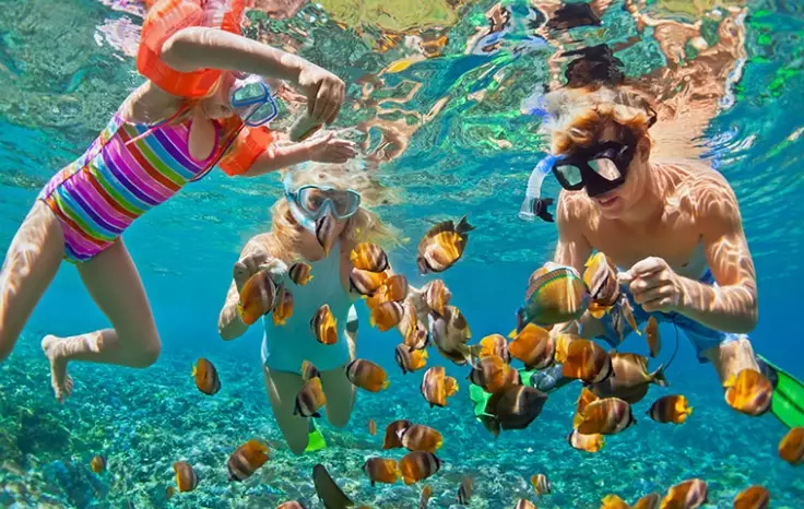 is snorkeling safe in Turks and Caicos