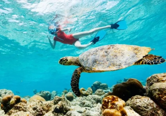 snorkeling Turks and Caicos safety