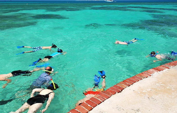 Dry Tortugas National Park snorkeling