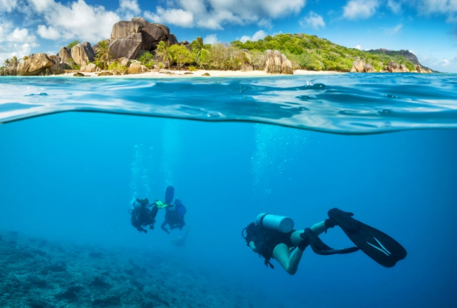 best snorkeling tours Seychelles best snorkeling tours Seychelles