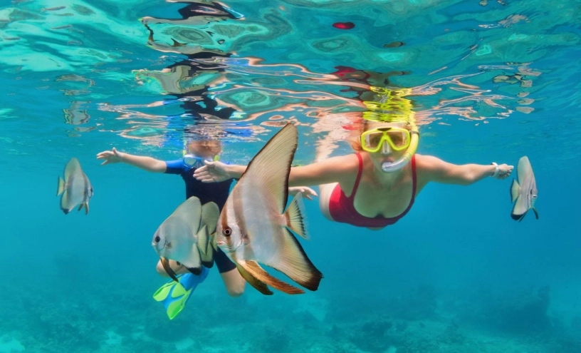 Snorkeling in Roatan from shore