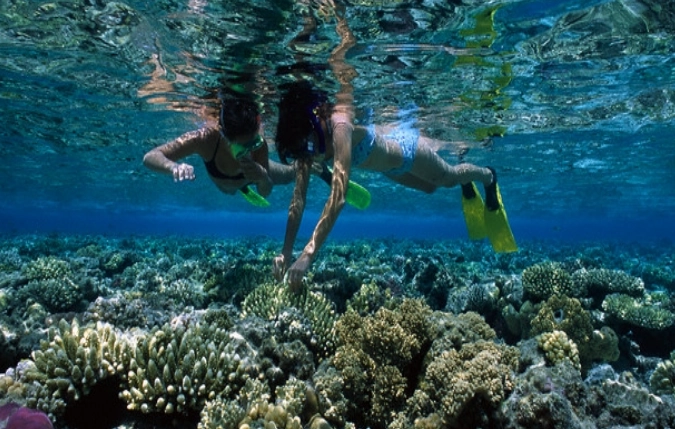 Best snorkeling in egypt red sea