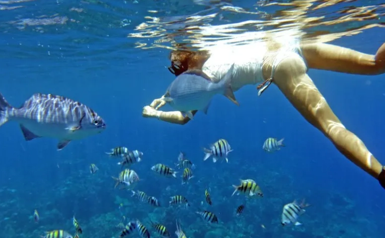 Roatan shore snorkeling spots