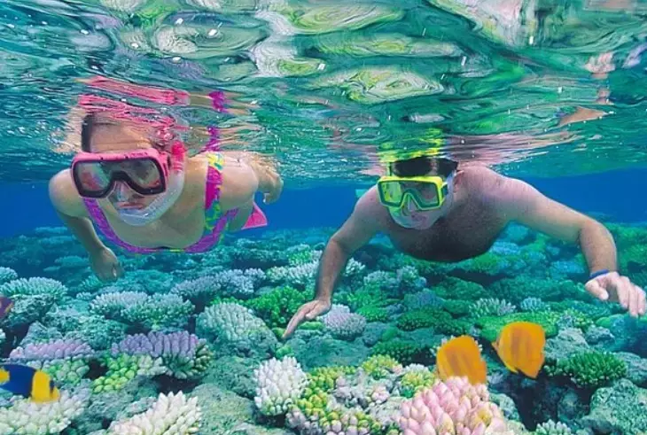 best snorkeling spots red sea egypt
