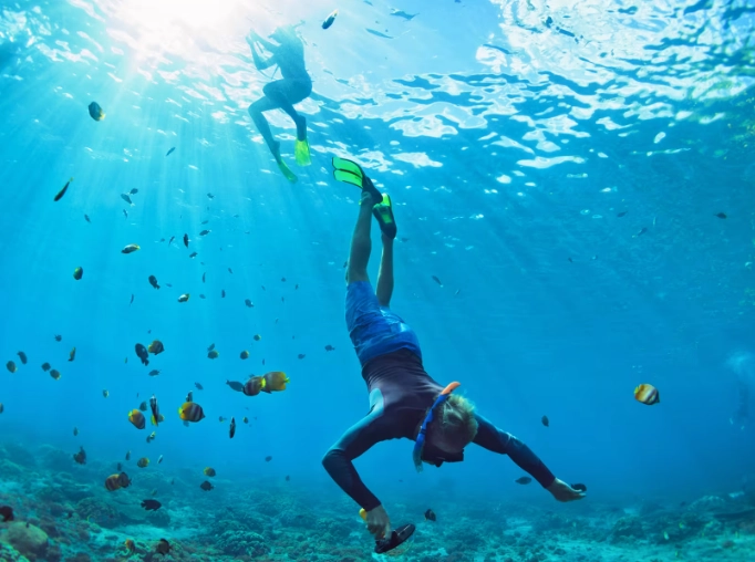 Seychelles snorkeling season