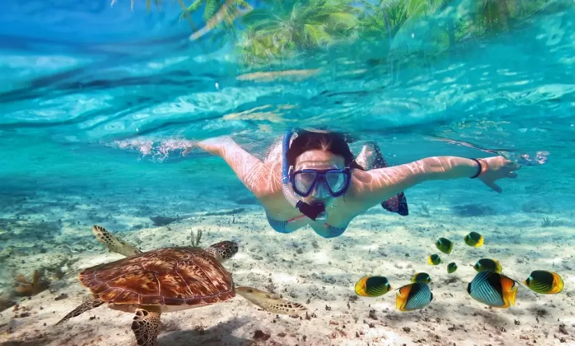 Family snorkeling trips