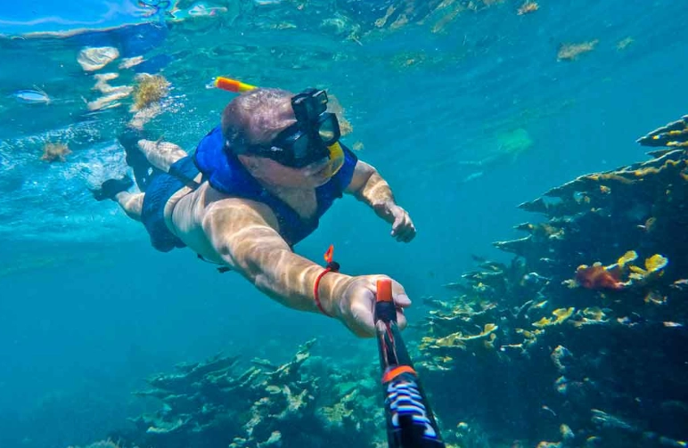 snorkeling tours for beginners snorkeling tours for beginners