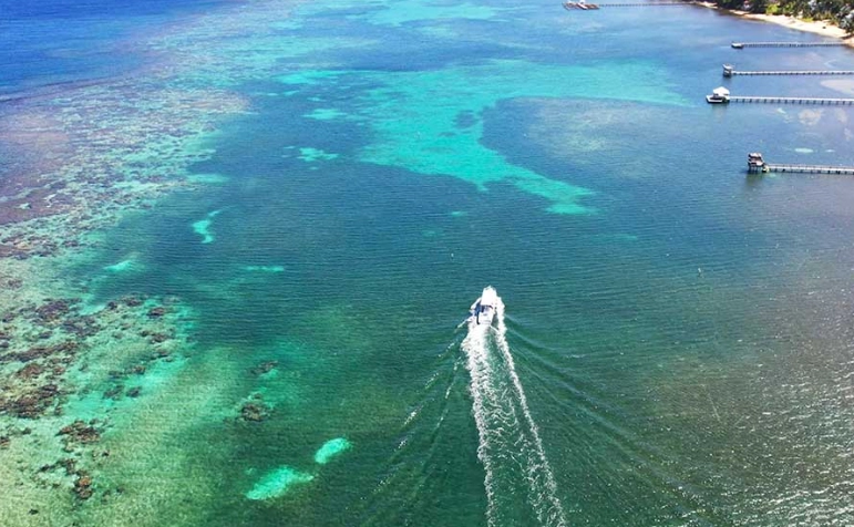 West Bay Beach snorkeling