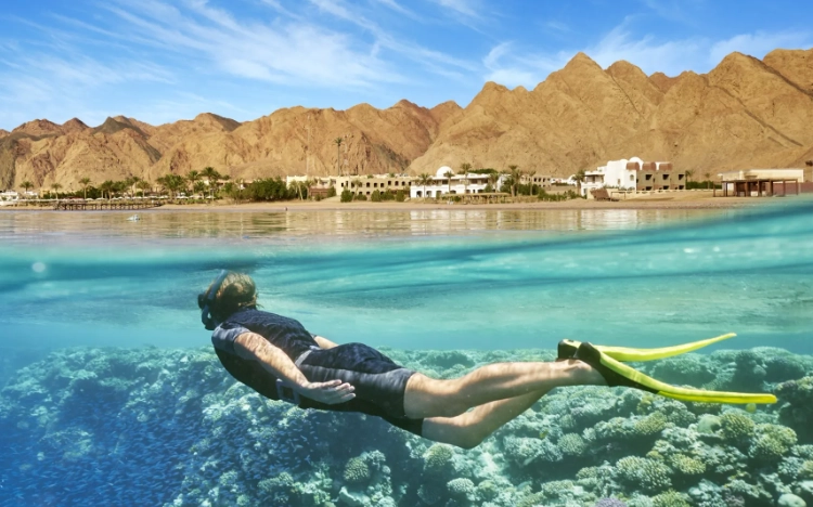 snorkeling hurghada sharm el sheikh