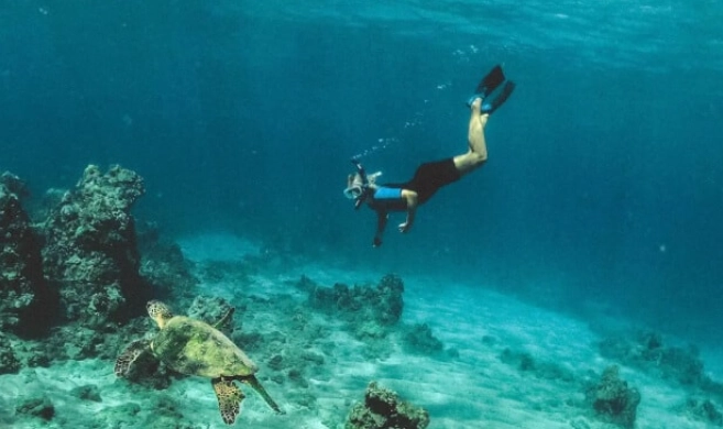 best time to snorkel in Costa Rica best time to snorkel in Costa Rica