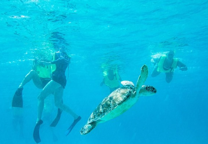national park snorkeling