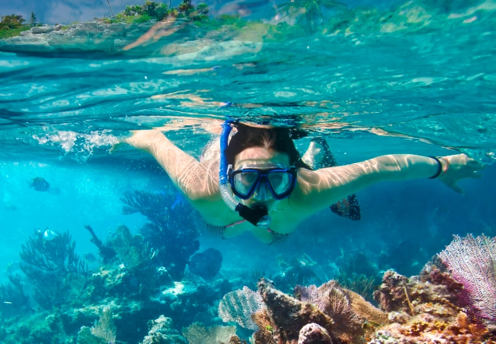 Best snorkeling tours