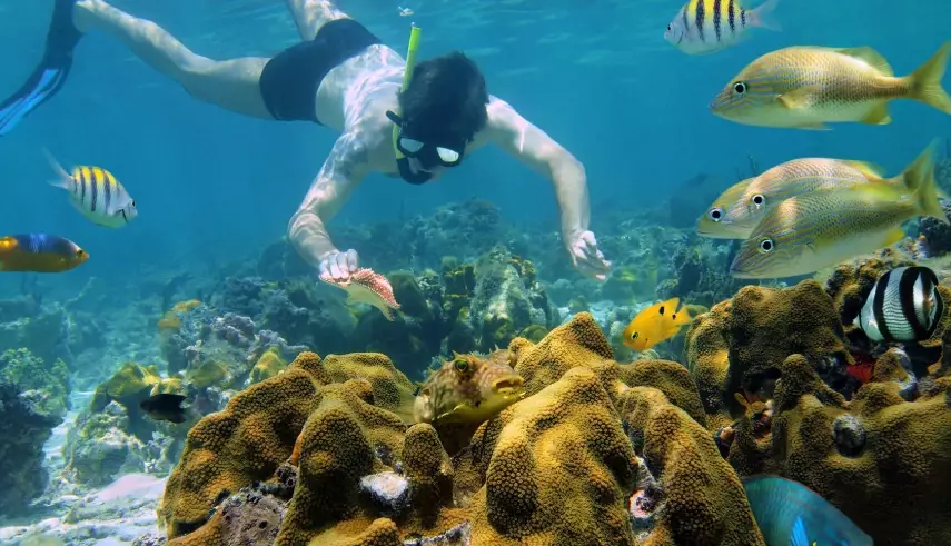 Roatan shore snorkeling spots